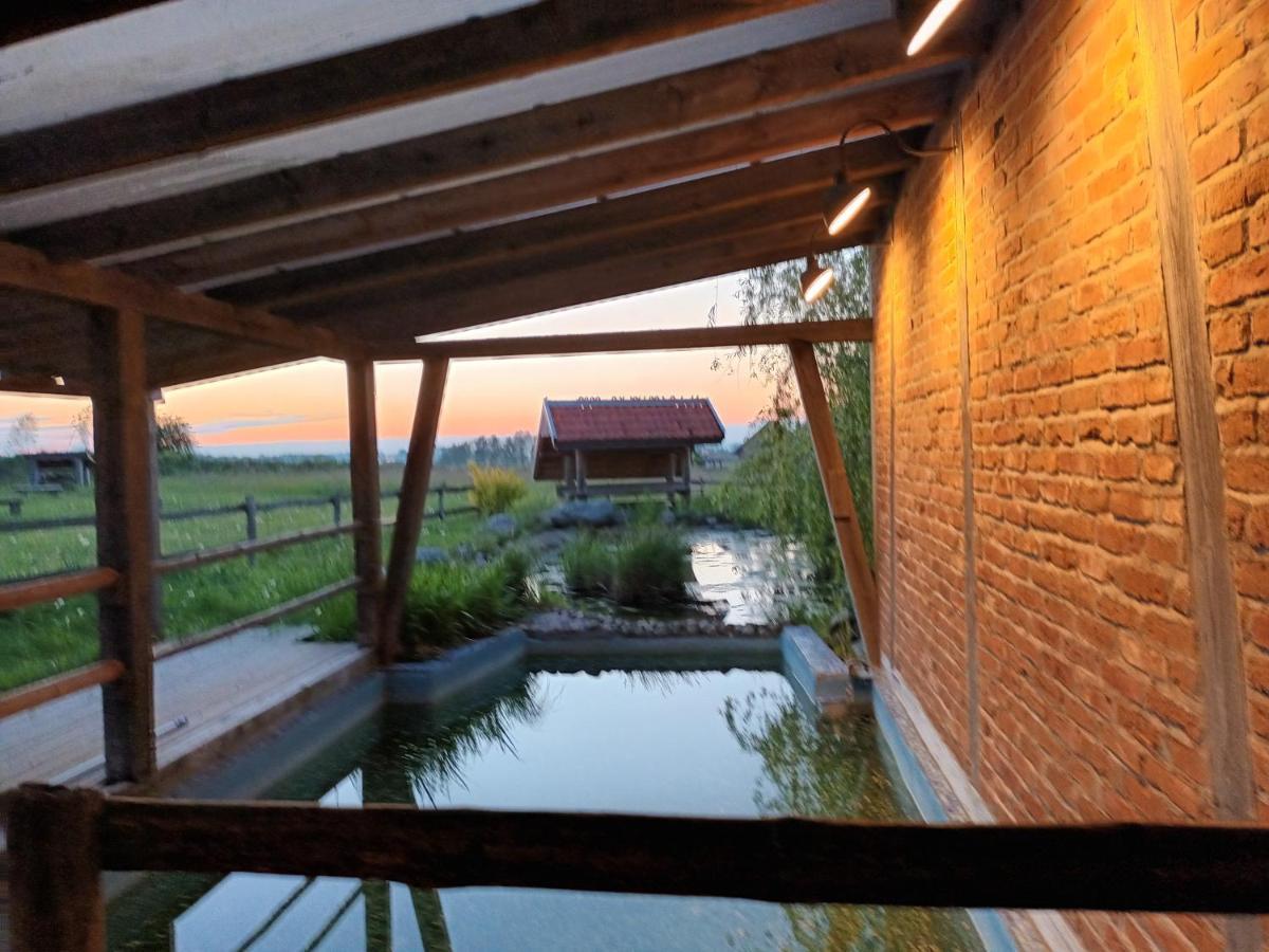 Villa Dom Habass Zdory Exterior foto